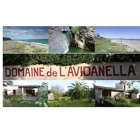 Ferienwohnung Domaine De L'Avidanella Santa-Lucia-di-Moriani Exterior foto
