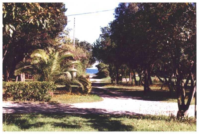 Ferienwohnung Domaine De L'Avidanella Santa-Lucia-di-Moriani Exterior foto