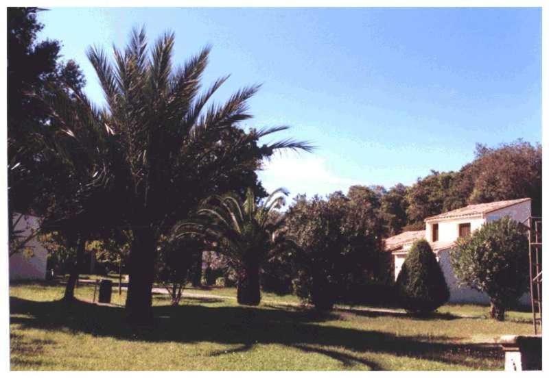 Ferienwohnung Domaine De L'Avidanella Santa-Lucia-di-Moriani Exterior foto