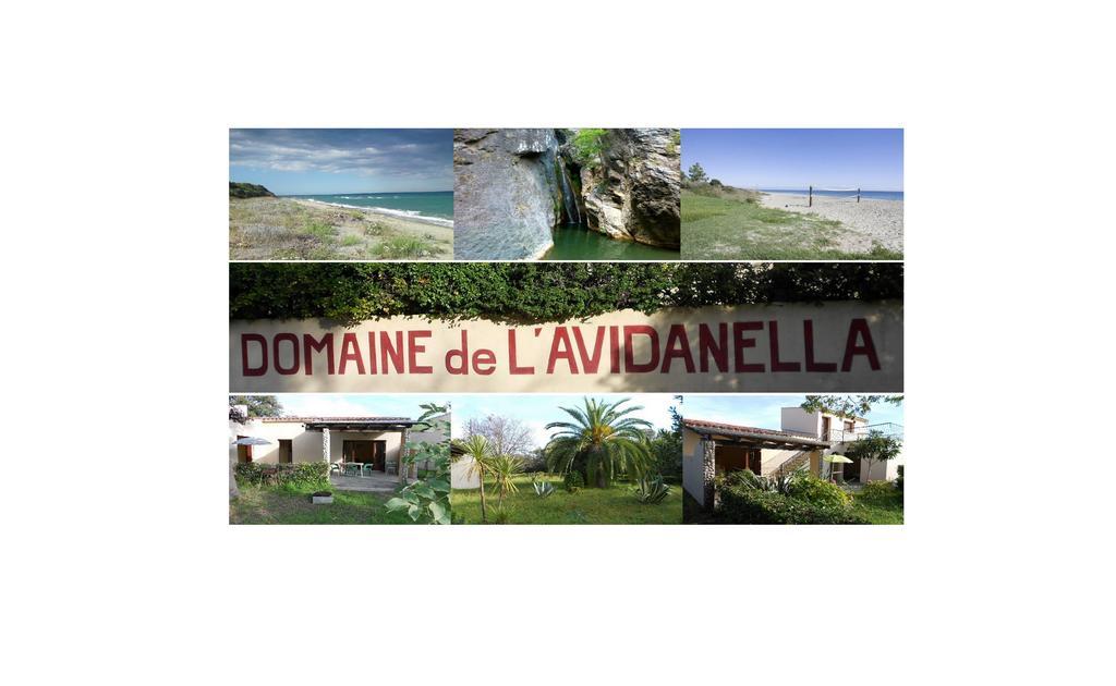 Ferienwohnung Domaine De L'Avidanella Santa-Lucia-di-Moriani Exterior foto